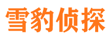 淇滨市侦探公司